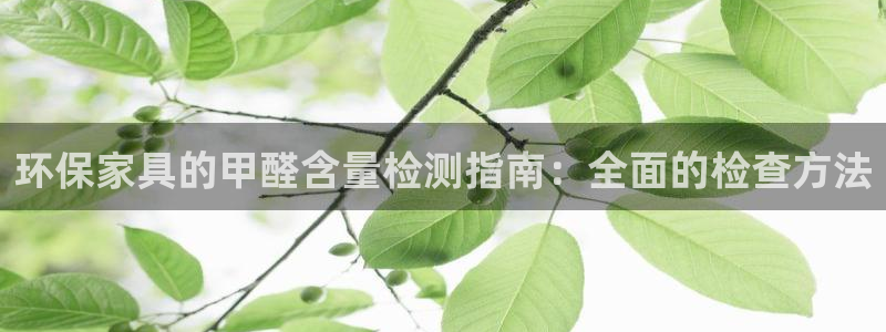 杏耀线路测速登录中心：环保家具的甲醛含量检测指南：全面的检查